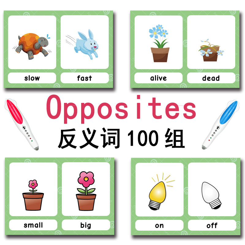 แฟลชการ์ดคำศัพท์ภาษาอังกฤษ 100 - Kids Education App บทวิจารณ์และราคา